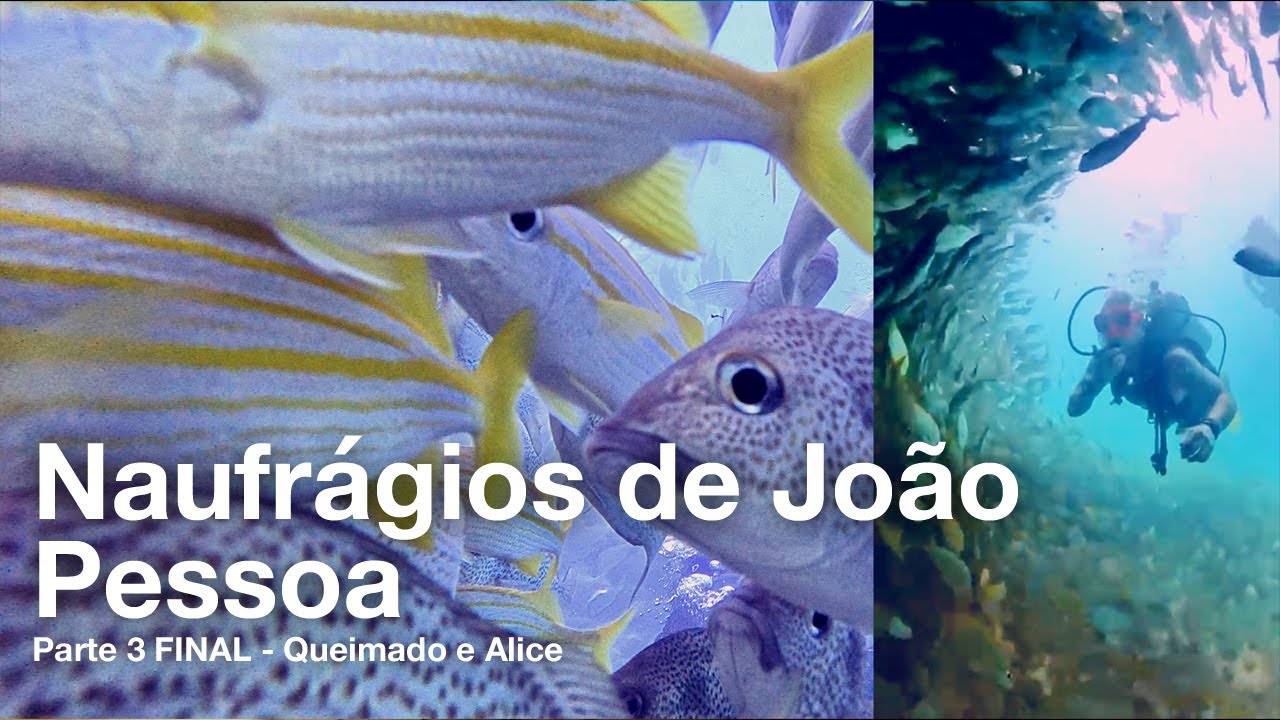 PARTE 3 — Naufrágios de João Pessoa - PB: Queimado e Alice / Walvee + PAPUAN MERGULHO