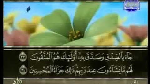 ختمة الشيخ سعد الغامدي 39 سورة الزمر