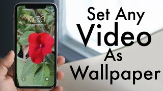 How To Set Any Video As Wallpaper For Your iPhone!