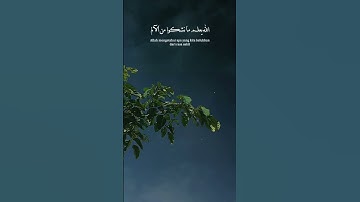 #الحمدلله #صبرو #اكسبلور #القرآن_الكريم #راحة_نفسية #لايك #duet #قران #تلاوة_هادئة #اسلام