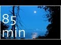 Rainforest - Sounds at Full Moon - 1,5 HOUR Nature Sounds #4 - Costa Rica Slow TV Soundscapes