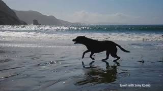 Sony Xperia XZ Premium - Slow Motion Camera Commercial 2017