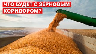 ⚡️ Россия отказывается от зерновой сделки после взрывов в оккупированном Крыму, — эфир FREEДОМ