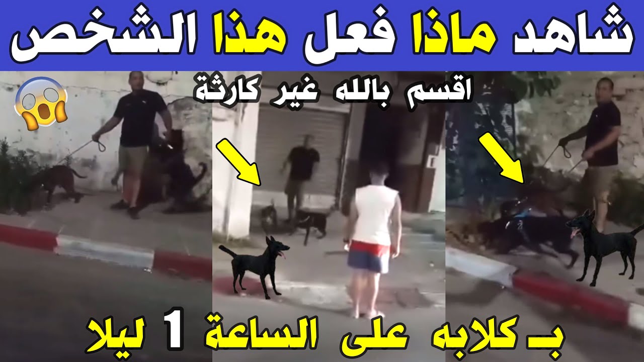 الجزائر 😢😥 شاهد ماذا فعل هذا المواطن لجيرانه بــ كلابه على الساعة 1 ليلا بــ عنابة