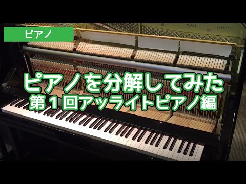 ピアノを分解してみた 第1回アッライトピアノ編 - YouTube