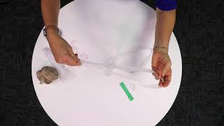 How to make Plarn from the volunteers at the  Country Walk Branch Library