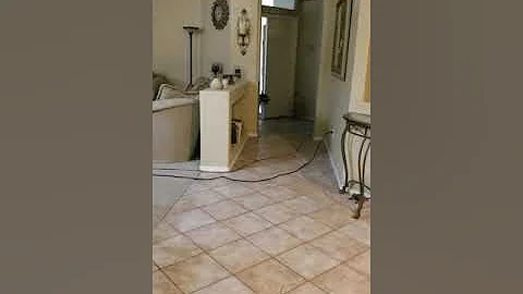 What the fluff challenge! Our dog LOVES to play hi...