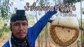 EP16: วิถีเซียน II น้ำผึ้งเดือน 5 รังที่ 6