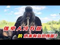 維京人的冷兵器，你不知道它們有多恐怖？長劍戰錘巨斧的殺傷力將震驚你！ #军事武器 #军迷 #涨知识 #武器科普 #终结者