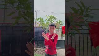 Download Lagu Dc cinta kah tidak #dance #velocity MP3