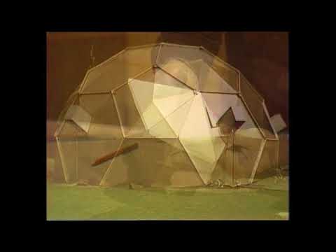 Make your own geodesic dome