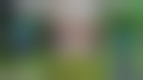 Change Camera angle in one click in Minecraft pocket edition | TPP to FPP in one click | Roargaming