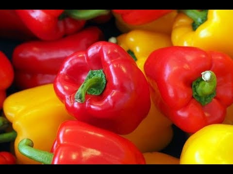 Video: Tomate pimiento: descripción de la variedad, características y rendimiento