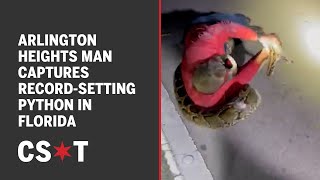 Arlington Heights man captures largest python in Florida history