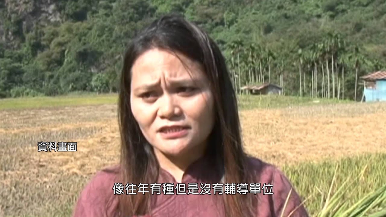 【LiMA新聞世界 第101集】黑米-山裡的傳奇