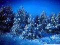 Roger Whittaker - Silent Night