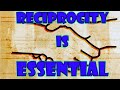 Reciprocity is the point pagan relationships with the gods