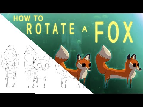 Animation Stuff: How to Rotate a Fox