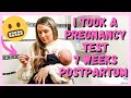 I TOOK A LIVE PREGNANCY TEST 7 WEEKS POSTPARTUM 2022 | DITL WITH NEWBORN | MarieLove Asbury