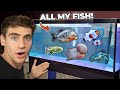 ALL MY FISH & RARE EXOTIC ANIMALS!!! (back home tour)