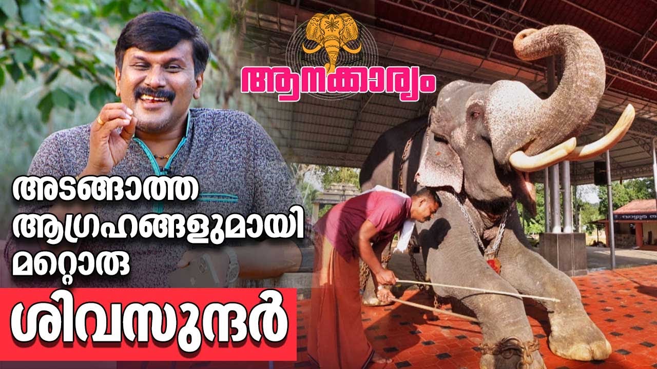 EP 78 | അടങ്ങാത്ത ആഗ്രഹങ്ങളുമായി മറ്റൊരു ശിവസുന്ദർ | Kalloothazhe Sivasundar | Aanakkaryam