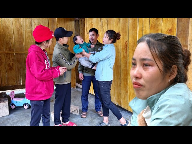 Harvesting cauliflower to sell - saying goodbye to the baby is very touching - hope the baby is safe class=