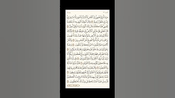 الورد اليومي: 4 صفحات (241-242-243-244) لتجنب هجر القرآن | تذكير يومي مستمر #قرآن #تلاوة