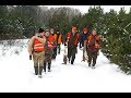 Полювання на зайця в МСК Сокіл