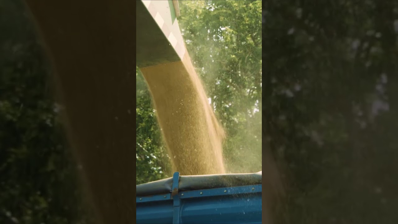 Хранение зерна в пластиковых рукавах ООО «Озёрки»