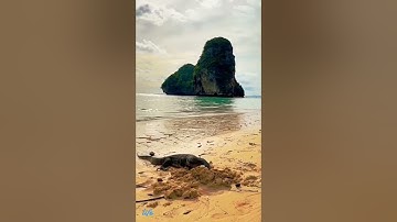 القارئ محمد الفقيه سورة المعارج