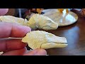 Unbox yo face beasts of the mesozoic raptors