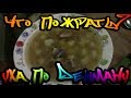 Что пожрать?  - Уха по дешману (выпуск 5)