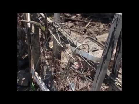 აფხაზეთიდან დევნილები