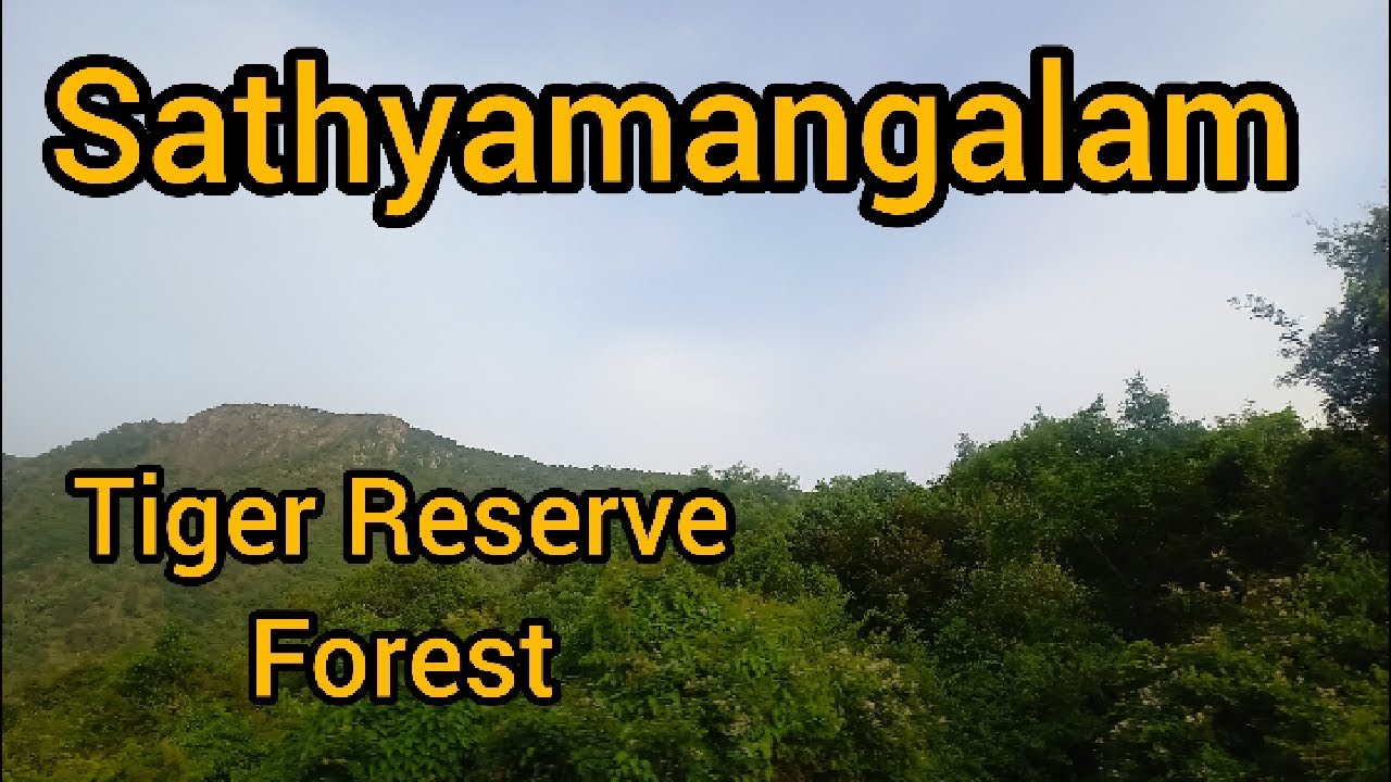 Sathyamangalam Wildlife Sanctuary