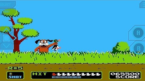 DUCK SHOOT ( nintendo )