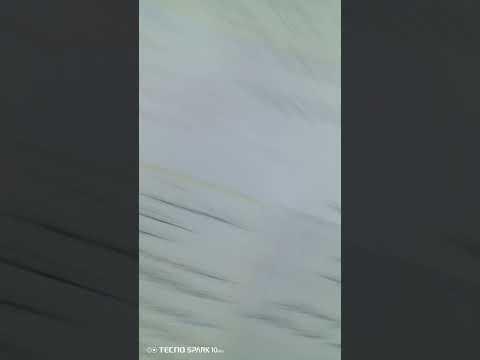 ملخص موجز لنص اجتماعي ساخر صف ثامن صفحة 99 100 101 102