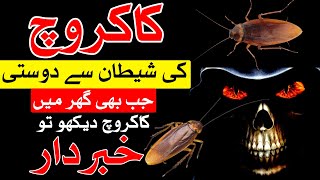 Cockroach Dekho to Khabardar | Imam Jafar Sadiq as Qol | Mehrban Ali | کاکروچ | Home Ghar House