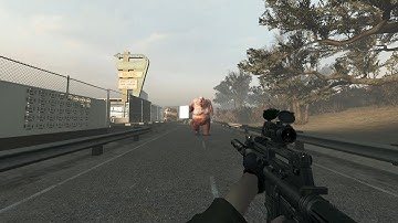 Left 4 Dead 2 Random Weapons Animation Mod Collection 2025 Expert full gameplay