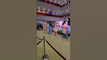 Meet and Greet with the whole Heeler family! #bluey #blueybingo #blueytoys