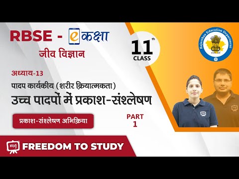 RBSE | Class-11 | Biology | उच्च पादपों में प्रकाश-संश्लेषण | प्रकाश-संश्लेषण अभिक्रिया