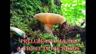 1 hour #prelude  Loop for #piano  | The Symphonic Squirrel | Preludes for Piano