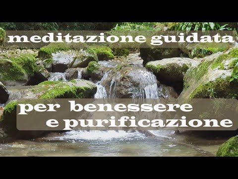 Guided Meditation Of Wellness And Cleansing From Negative Thoughts - The Purification Of The Stream
