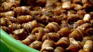 RAGAM INDONESIA - MENIKMATI SURGA DI SELATAN JAWA TIMUR (22/2/17)2-1