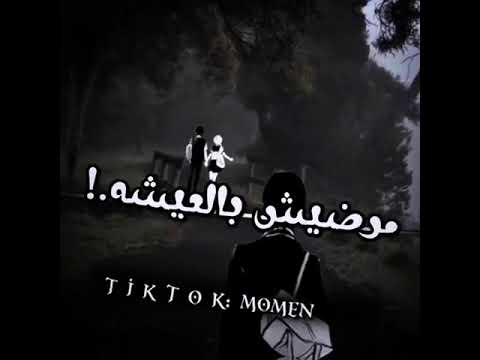 علي حبي اتكبر وعليا اتامر حوده بندق حالات واتس مؤمن عزام متابعه يا اخواتي