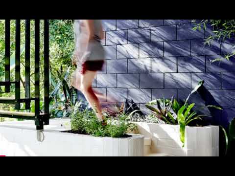 Video: Playful Concrete Lines Definer Tropical Planchonella House i Australien
