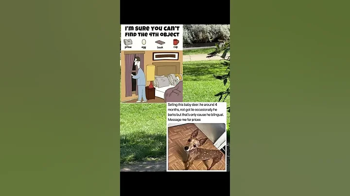 Can you find 4th object  #relatable #mystery #challenge #puzzle #games