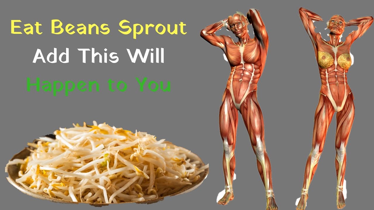 Eat Beans Sprout And This Will Happen To You - 7 Amazing Benefits