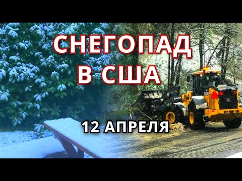 Видео: Округ Хоторн в Портленде, штат Орегон