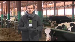 Минсельхоз: в молочном животноводстве -особые успехи