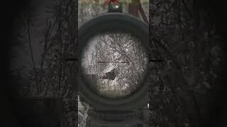 dělal mrtvolu | #zuzu83 v #Twitch #twitchstreamer #escapefromtarkov #tarkov #sherpa #twitchclips